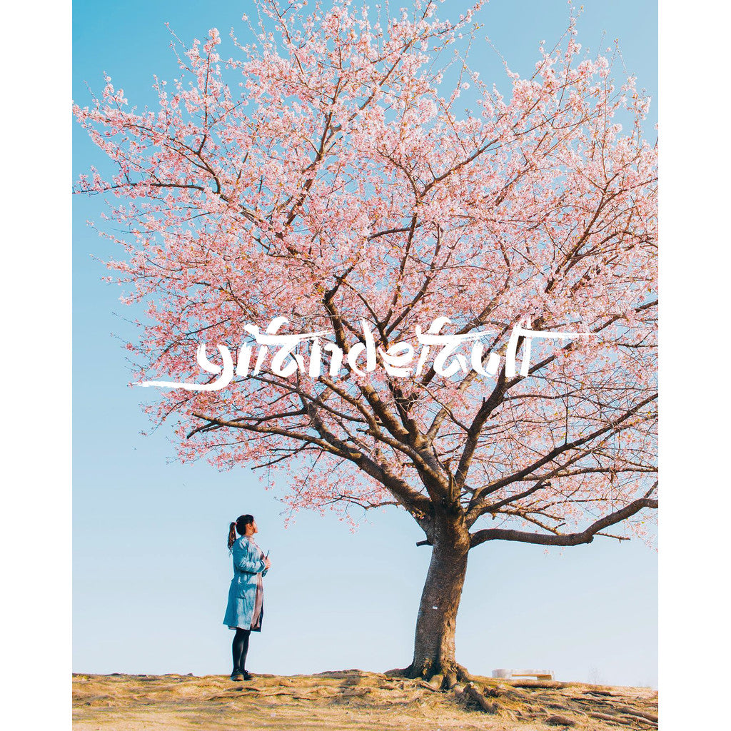 📸 Pixelcake Preset Niigata Yuki – Lightroom Preset (9 Sets, Mobile, PS, PhaseOne)