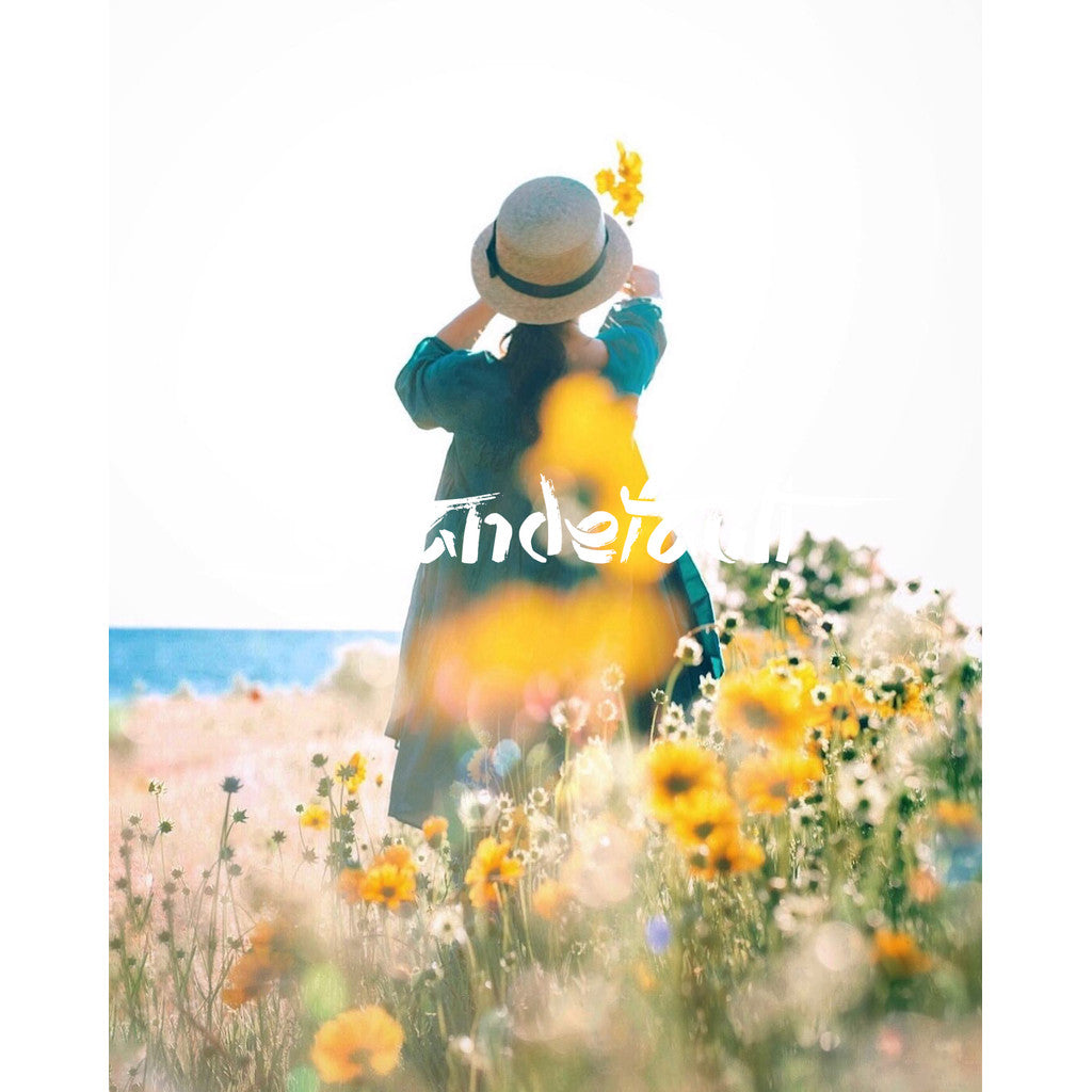 📸 Pixelcake Preset Niigata Yuki – Lightroom Preset (9 Sets, Mobile, PS, PhaseOne)