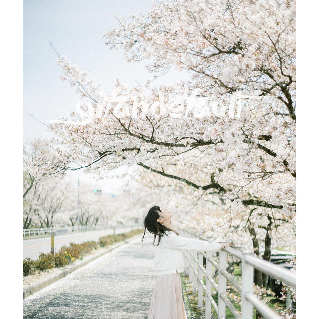 📸 Pixelcake Beihai Lion Japanese Fresh Film - Lightroom Preset (3 Types, Mobile, Capcut, PS, PhaseOne)