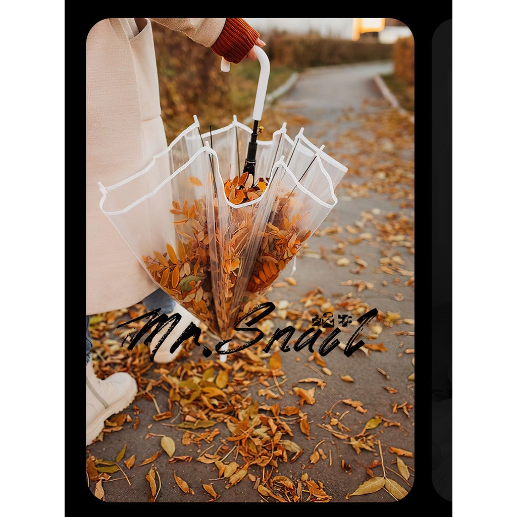 📸 Mr.319 Kodak Movie Vintage Film - Lightroom Preset (PR, Capcut, PS)