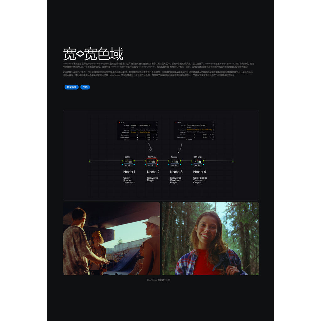 🎞️ FilmVerse Vision3 | Kodak Hollywood Film Plugin Full V2.1 [MICHIGO STUDIO]