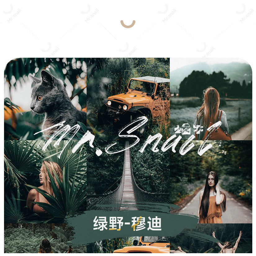 📸 Mr.232 Green Moody Capcut - Lightroom Preset (PS, PR, YouTube)
