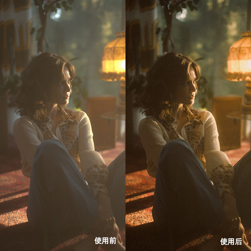 🎞️ Dailycine Film Presets | PORTRA 400, CINESTILL 800T, E200 for LR 🎨 [MICHIGO STUDIO]