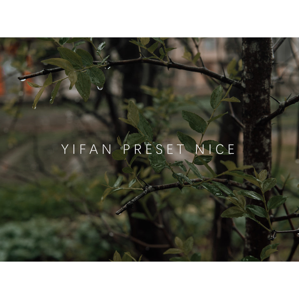 📸 Pixelcake Dark Green Plant – Lightroom Preset (5 Types, PS, PR, Capcut, PhaseOne)