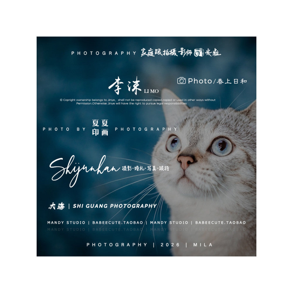 🎨 LOGO DESIGN | Minimalist Watermark ✍️ For Wedding Videographer, Editor, Signature Overlay 📹💍 [MICHIGO STUDIO]