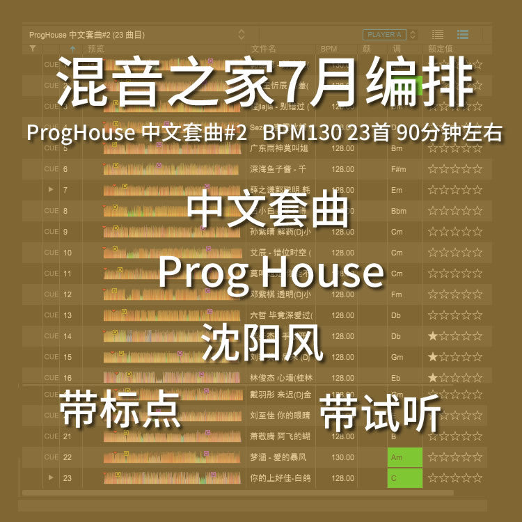 ProgHouse DJ Set 🎋 Chinese Folk Fusion [MICHIGO STUDIO]