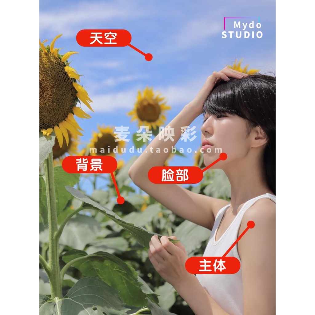 🧠 AI Smart Mask Color Presets 🎨 Portrait / Sky / Animal / Landscape Tools PS / LR [ MICHIGO STUDIO ]