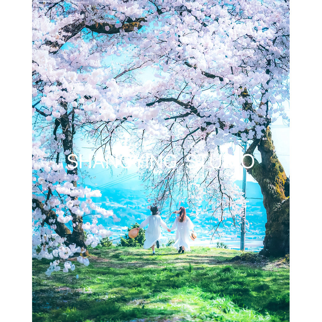 📸 PR Japanese Anime Soft Cherry Blossom - Lightroom Preset (Mobile, FCPX, DaVinci, Portrait)