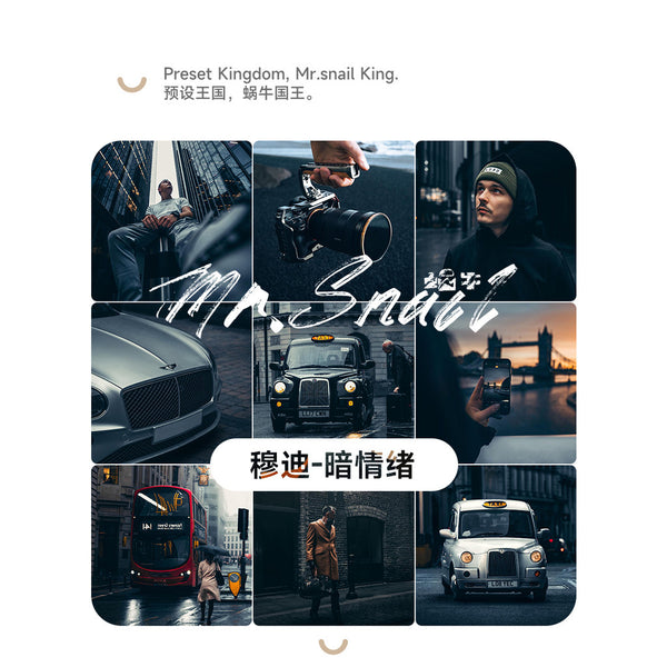 📸 Mr.231 Moody Dark Mood - Lightroom Preset (Capcut, FCP, Mobile, PS)