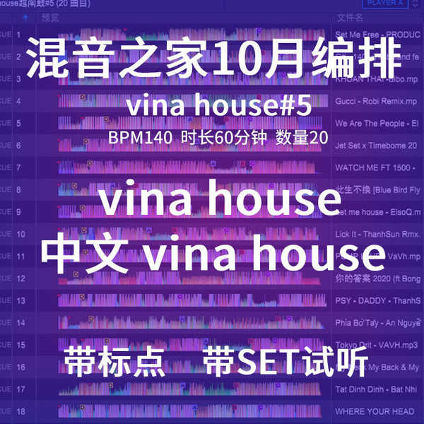 Vina House DJ Set 💿 Late Night Club Flow | Cue Ready [MICHIGO STUDIO]