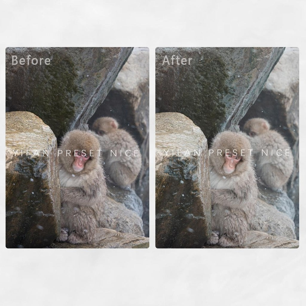 📸 LR Preset Simulate Classic Negative – Lightroom Preset (4 Sets, Pixelcake, PS, PhaseOne, Capcut)