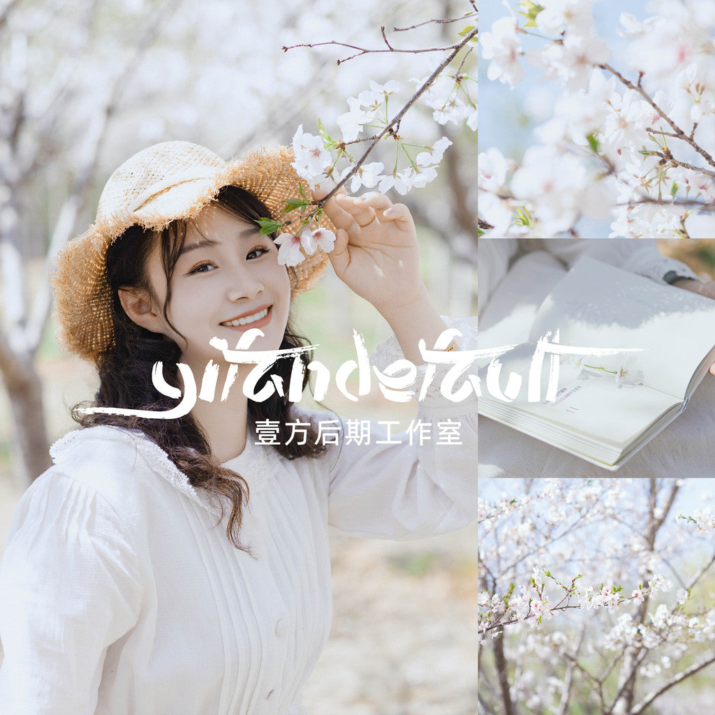 📸 Pixelcake Original Japanese Sakura – Lightroom Preset (4 Sets, Mobile, PR, PS, PhaseOne)