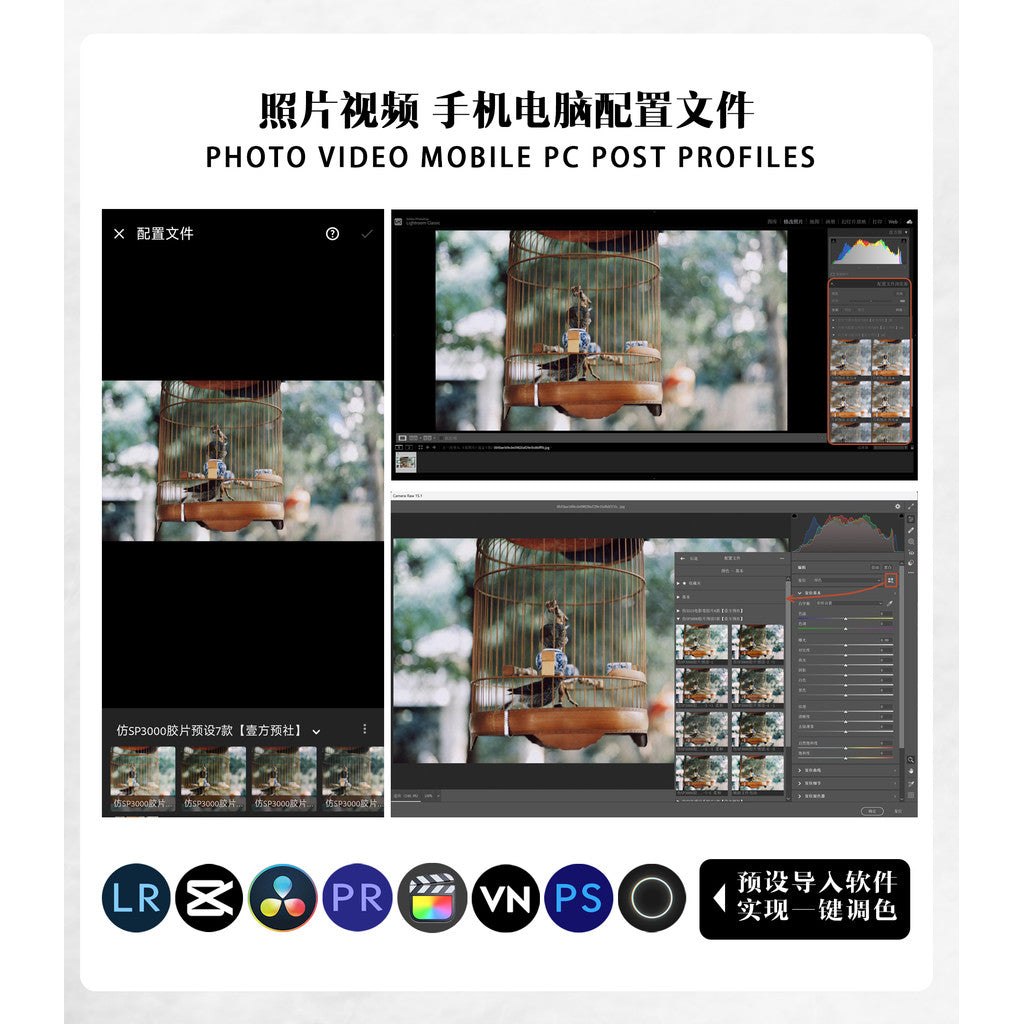 📸 Pixelcake Korean Bright Wedding Profile - Lightroom Preset (6 Types, Mobile, PR, PS, PhaseOne)