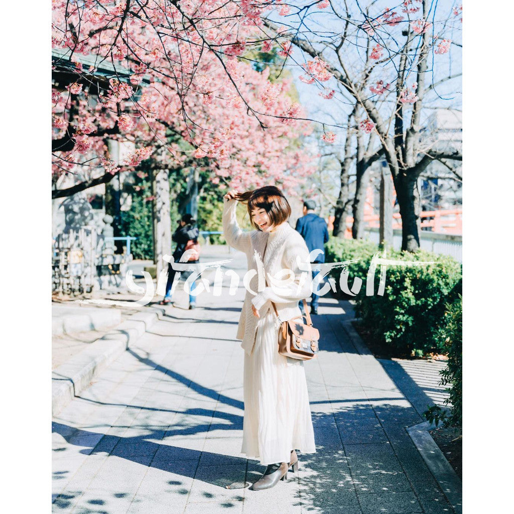 📸 Pixelcake Akiha Satoru Light Green Japanese Film - Lightroom Preset (12 Types, Mobile, PS, PhaseOne)