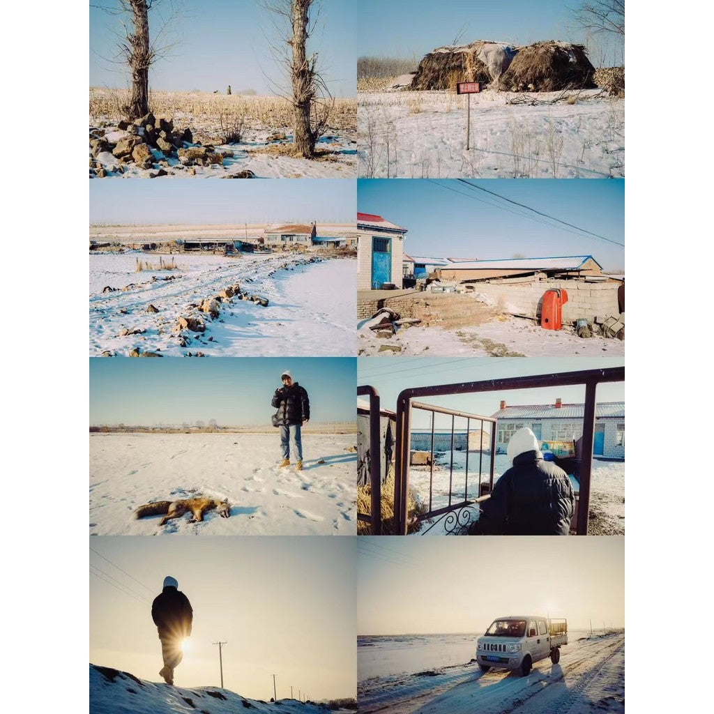 📸 Loz Film Preset 01 – Lightroom Preset (PS, LR, Sunny Day, Film)