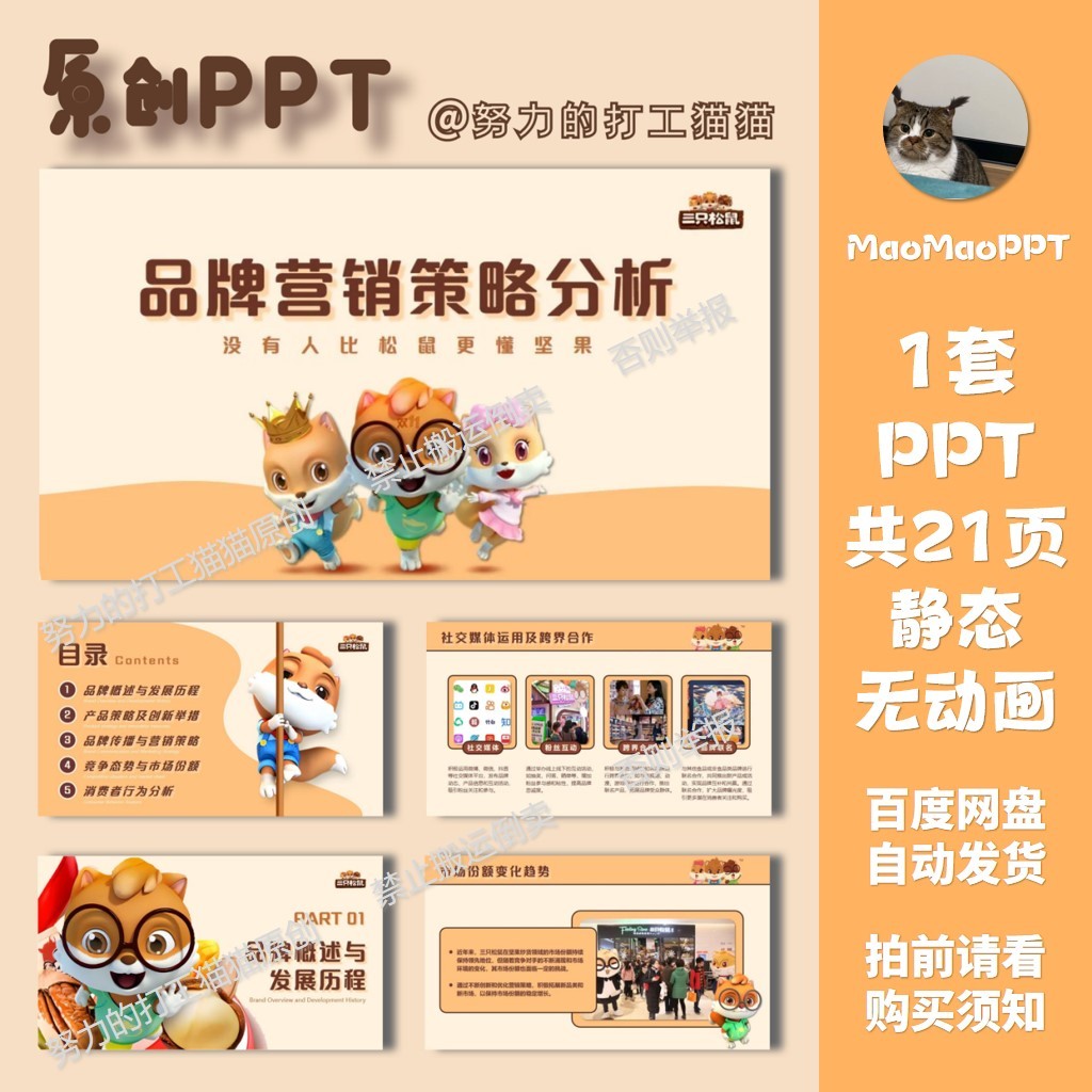 POWERPOINT TEMPLATE 174 | 🐱 Original Cat Brand Marketing Analysis Template 21 Pages Static Three Squirrels PPT