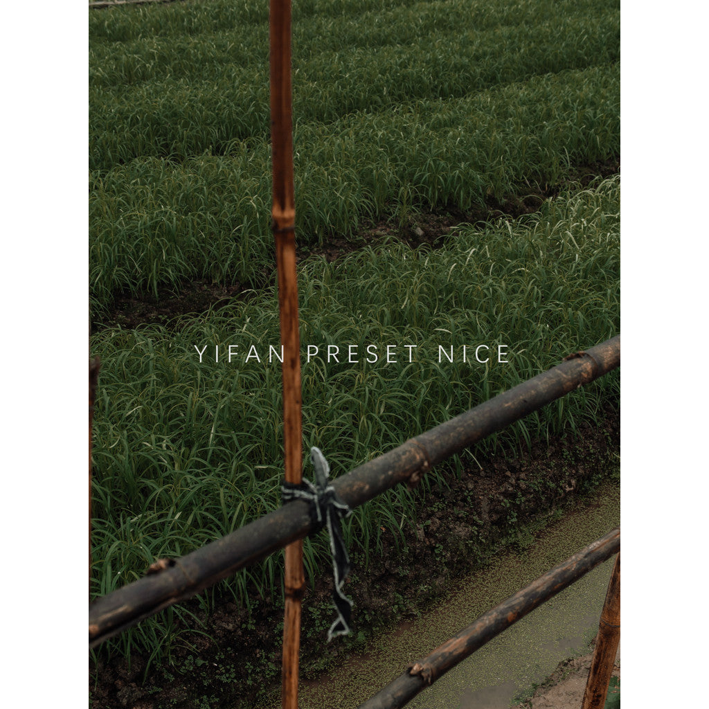 📸 Pixelcake Dark Green Plant – Lightroom Preset (5 Types, PS, PR, Capcut, PhaseOne)