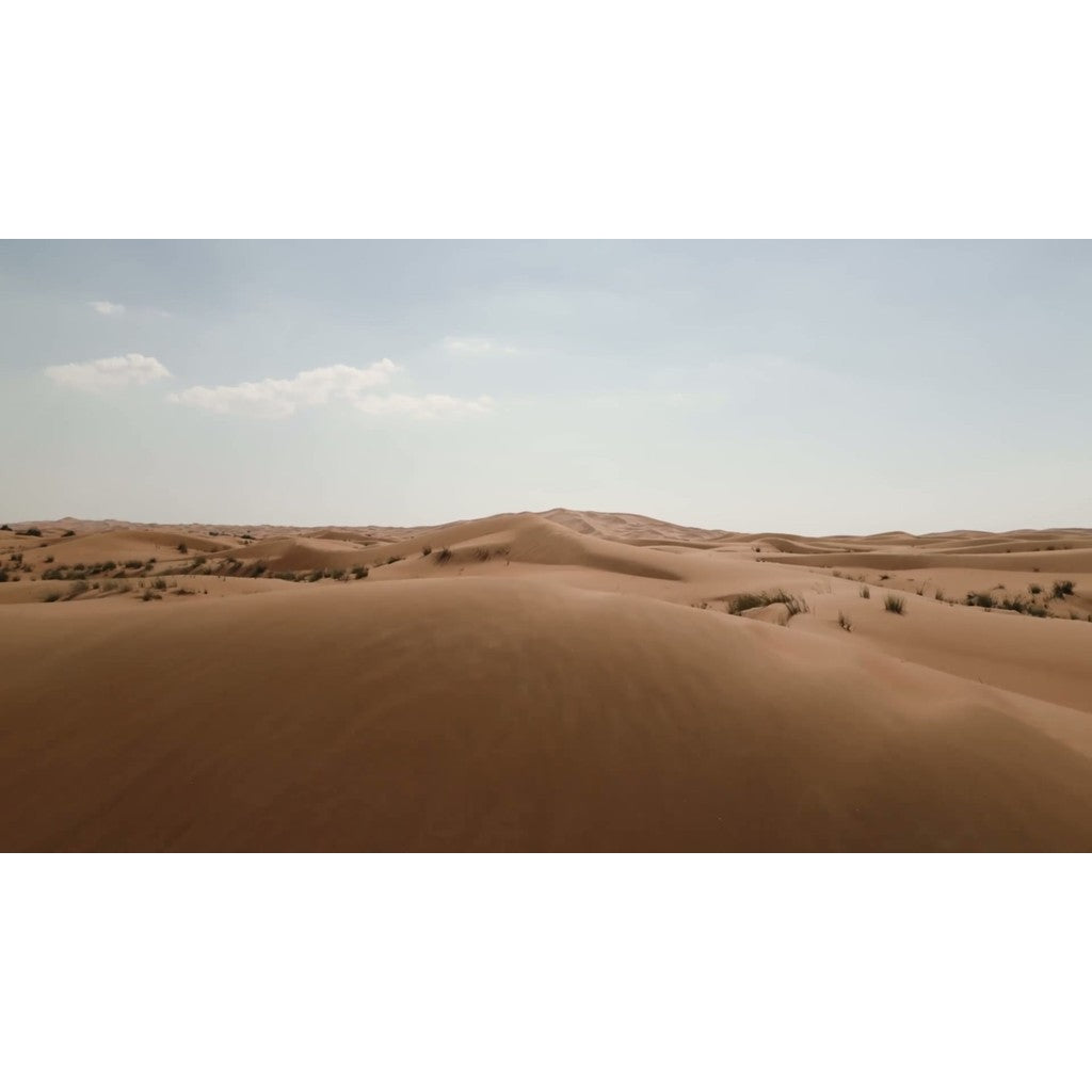 ⚙️ Speed Ramp Transitions | Gradient, Shake & Blur FX [MICHIGO STUDIO]