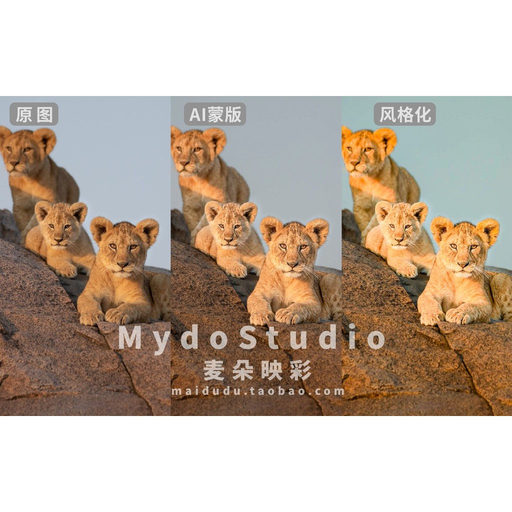 🧠 AI Smart Mask Color Presets 🎨 Portrait / Sky / Animal / Landscape Tools PS / LR [ MICHIGO STUDIO ]