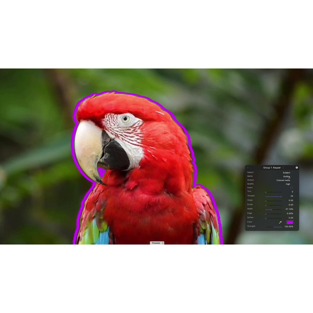 FCPX | 🟢 Keyper 2.1 – Smart Keying Plugin for Background Removal & Object Extraction (No Green Screen) [MICHIGO STUDIO]