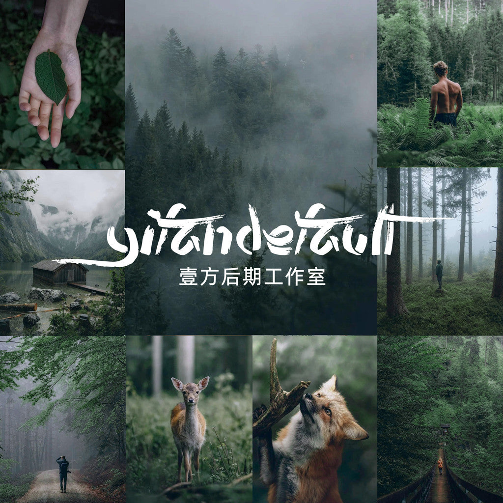 📸 Pixelcake LR Preset Movie Deep Green - Lightroom Preset (50 Types, PS, PR, DaVinci, Capcut, PhaseOne)