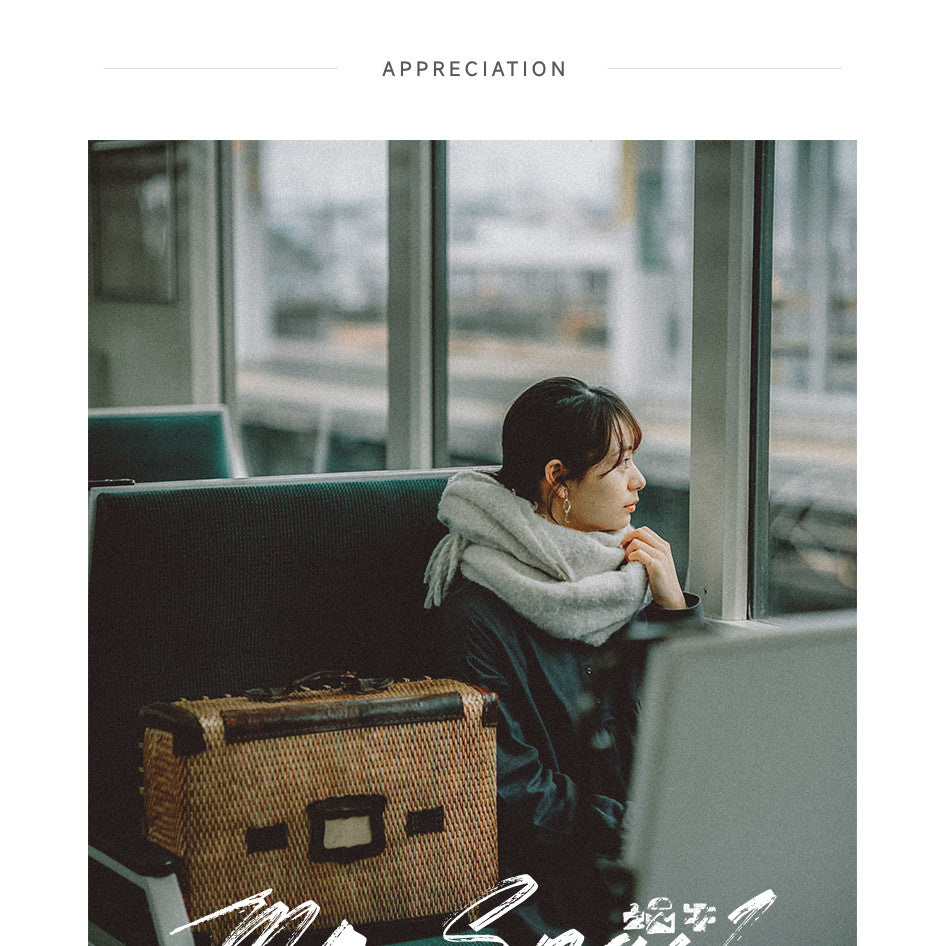 📸 Mr.222 Japanese Vintage Film - Lightroom Preset (PR, PS, DaVinci, Capcut, FCPX)