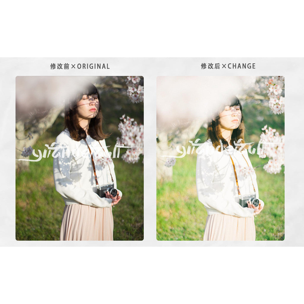📸 Pixelcake Beihai Lion Japanese Fresh Film - Lightroom Preset (3 Types, Mobile, Capcut, PS, PhaseOne)