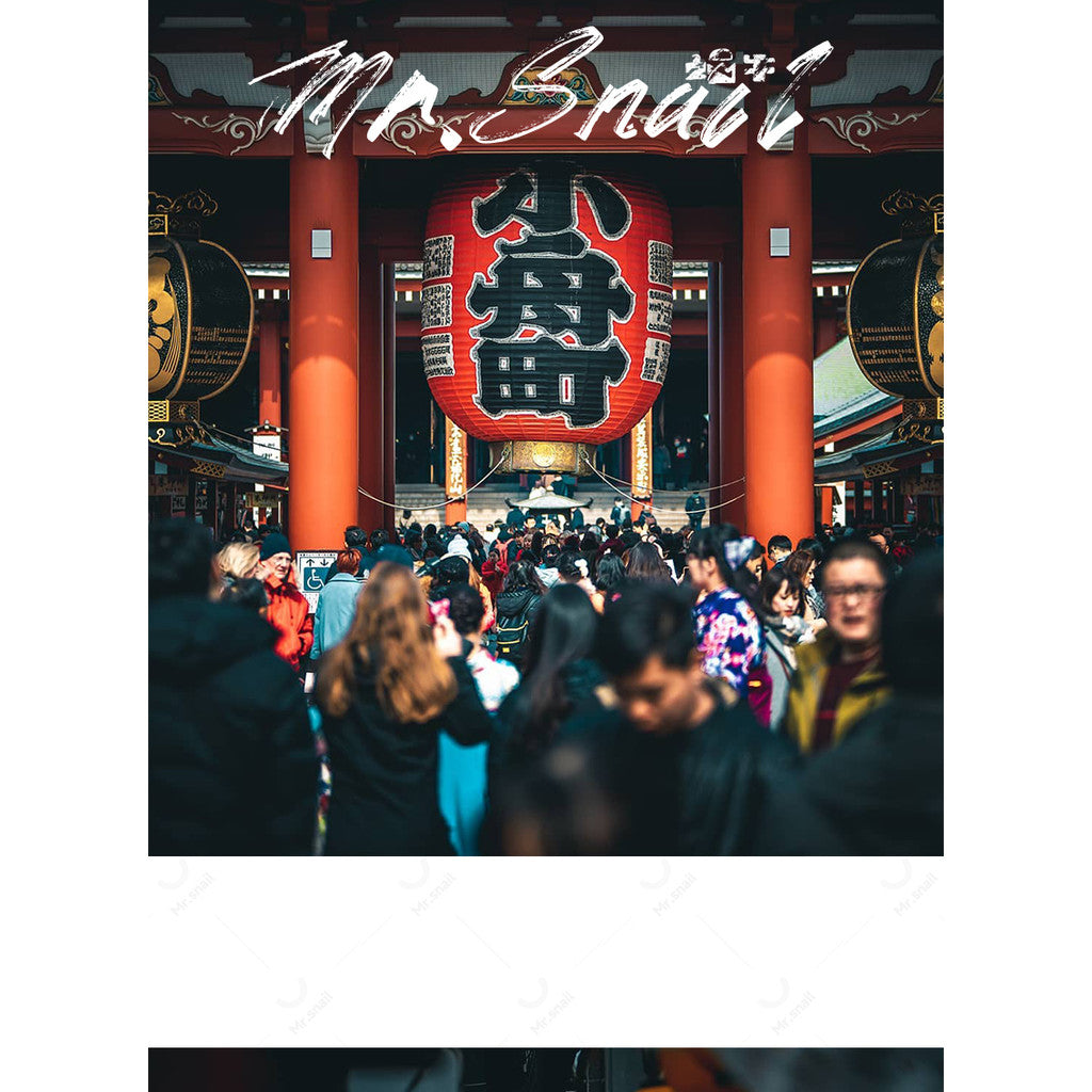 📸 Mr.213 Tone Preset - Lightroom Preset (PS, PR, Capcut, FCPX, DaVinci)