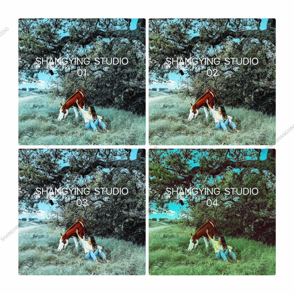 📸 Kodak 5219 Movie Roll Portrait - Lightroom Preset (PS, PR, Capcut, FCPX, DaVinci, Mobile)