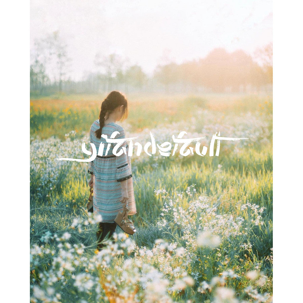 📸 Pixelcake Preset Niigata Yuki – Lightroom Preset (9 Sets, Mobile, PS, PhaseOne)