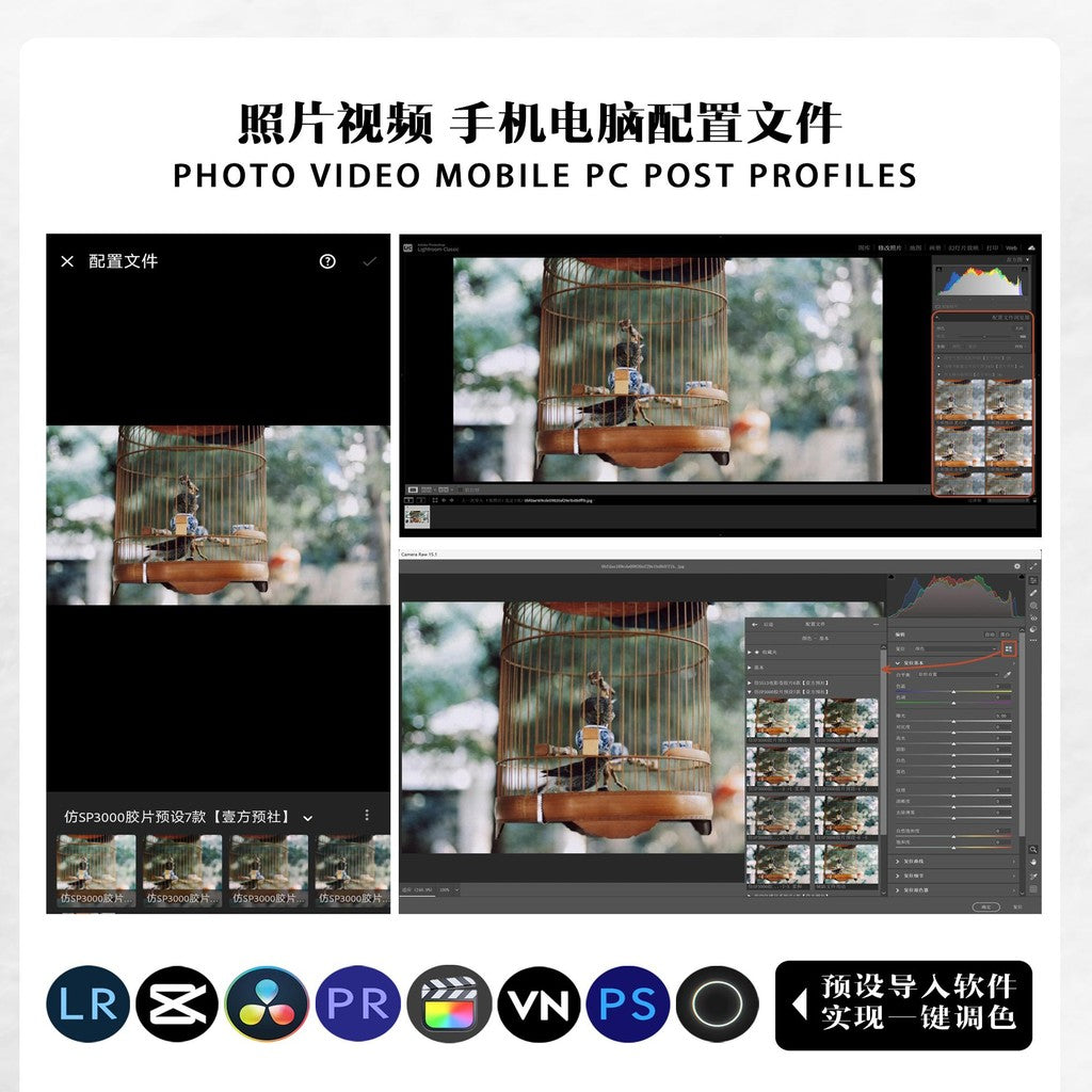 📸 LR Pixelcake Preset Simulate Fuji Vivid – Lightroom Preset (8 Sets, PS, PhaseOne, Capcut)