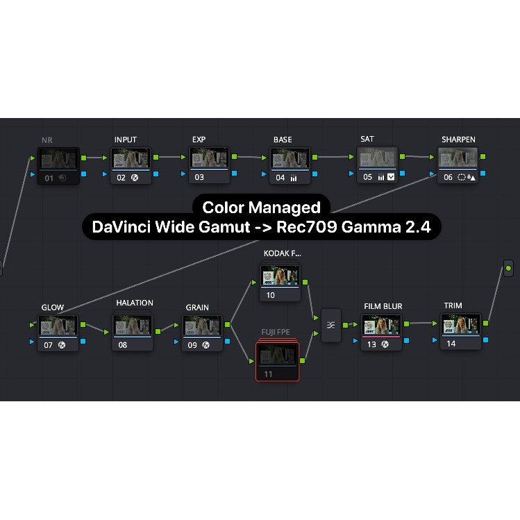🎞️ PowerGrade – DaVinci Kodak 2383 / Fuji 3513 Flexible Film Emulation Node Template ✨ [ MICHIGO STUDIO ]