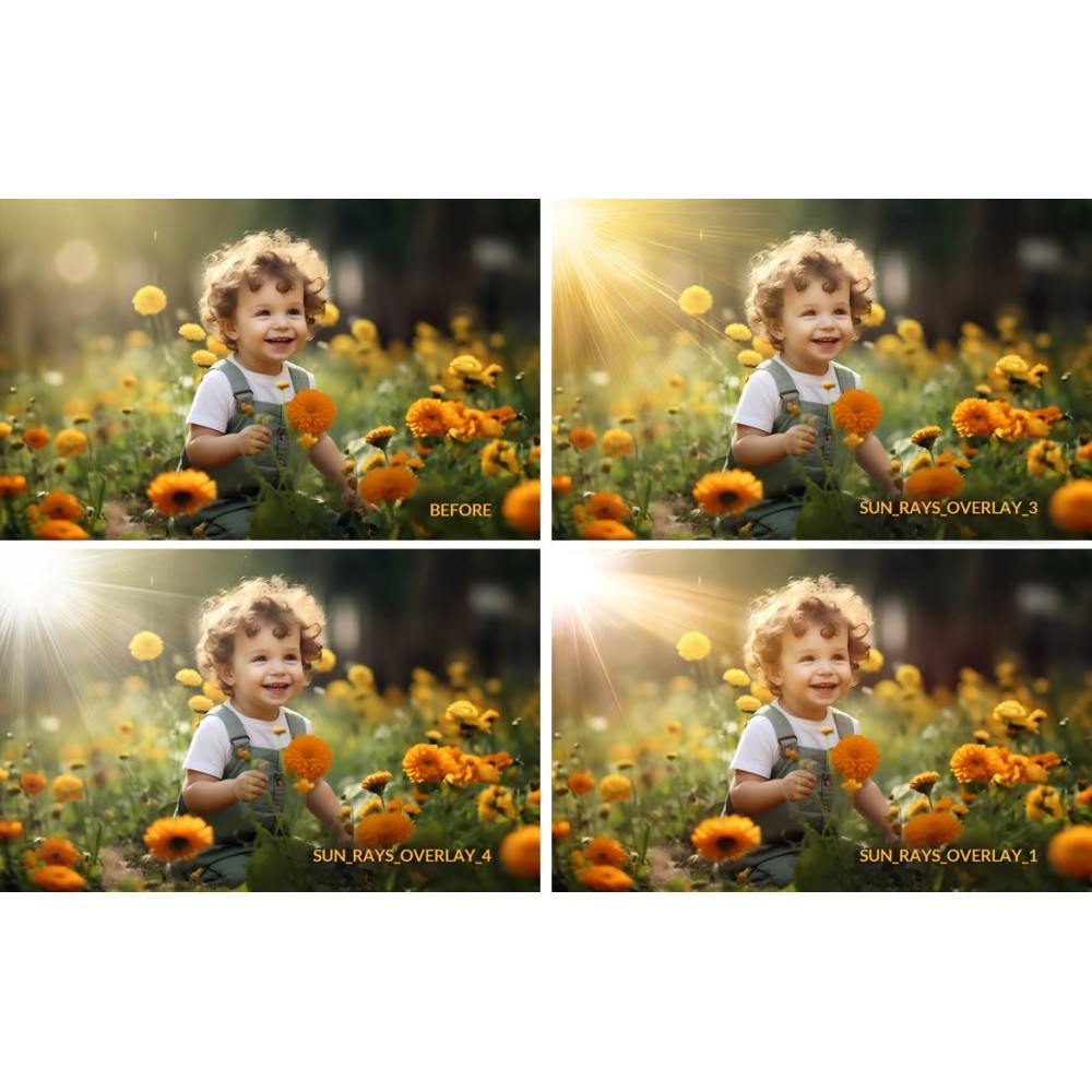 🌤️ Design Asset – Realistic Sunlight Beam & Overlay Effects – Transparent PNG/JPG Pack ✨ [ MICHIGO STUDIO ]