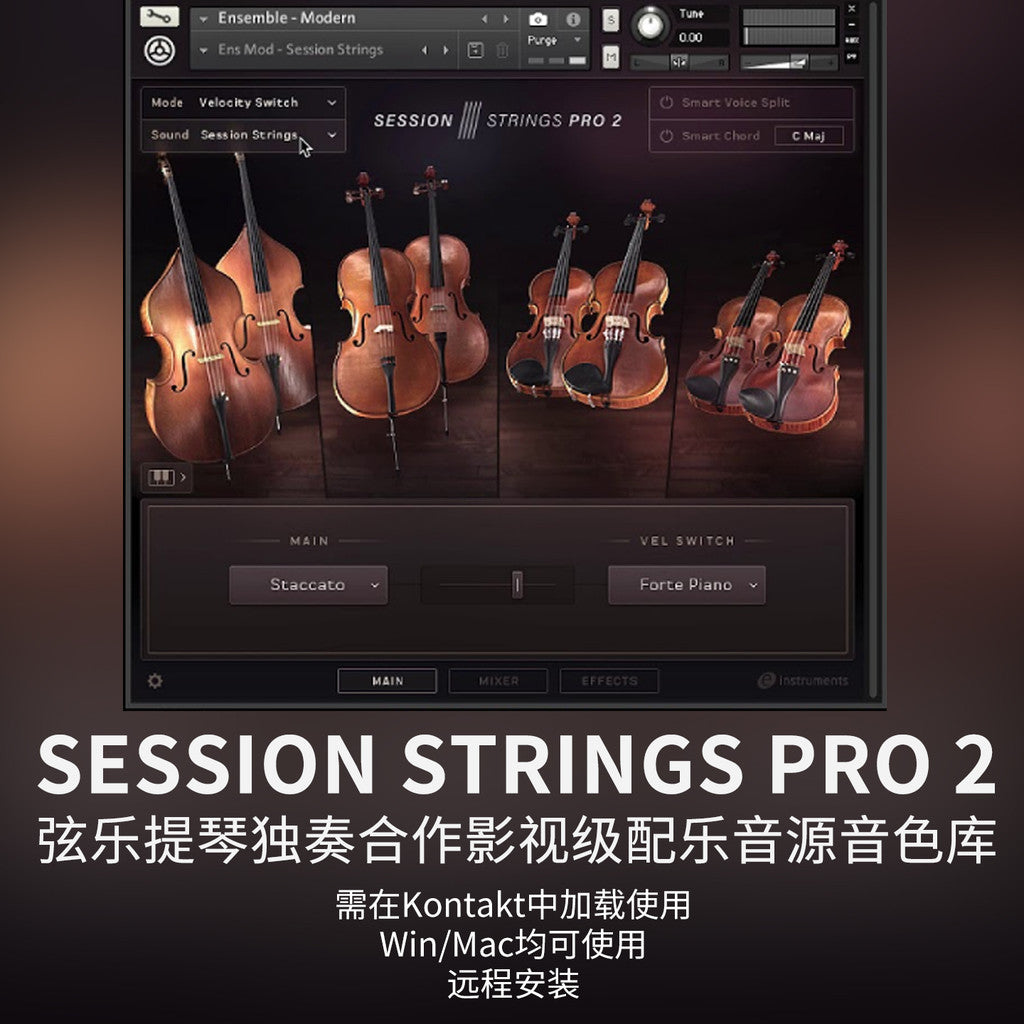 🎻 Instrument Library – Session Strings Pro 2 – Modern Pop & Cinematic String Sound Library ✨ [ MICHIGO STUDIO ]