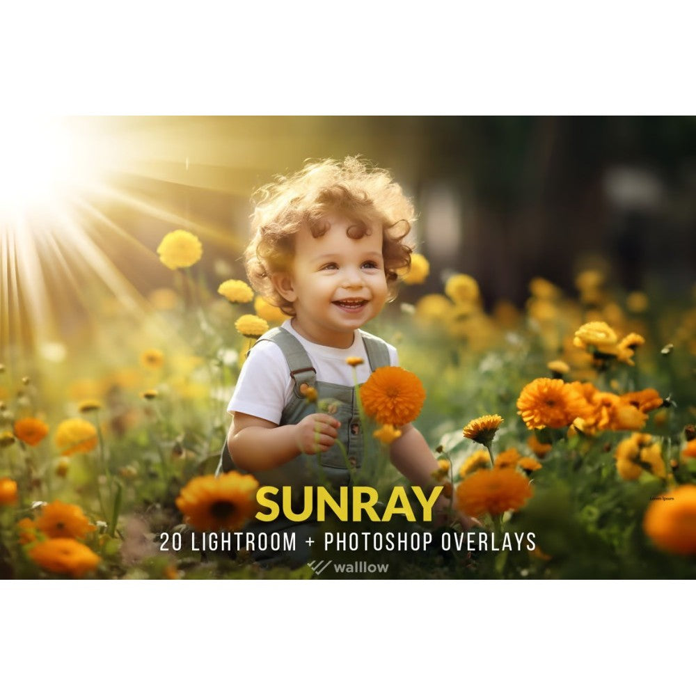 🌤️ Design Asset – Realistic Sunlight Beam & Overlay Effects – Transparent PNG/JPG Pack ✨ [ MICHIGO STUDIO ]