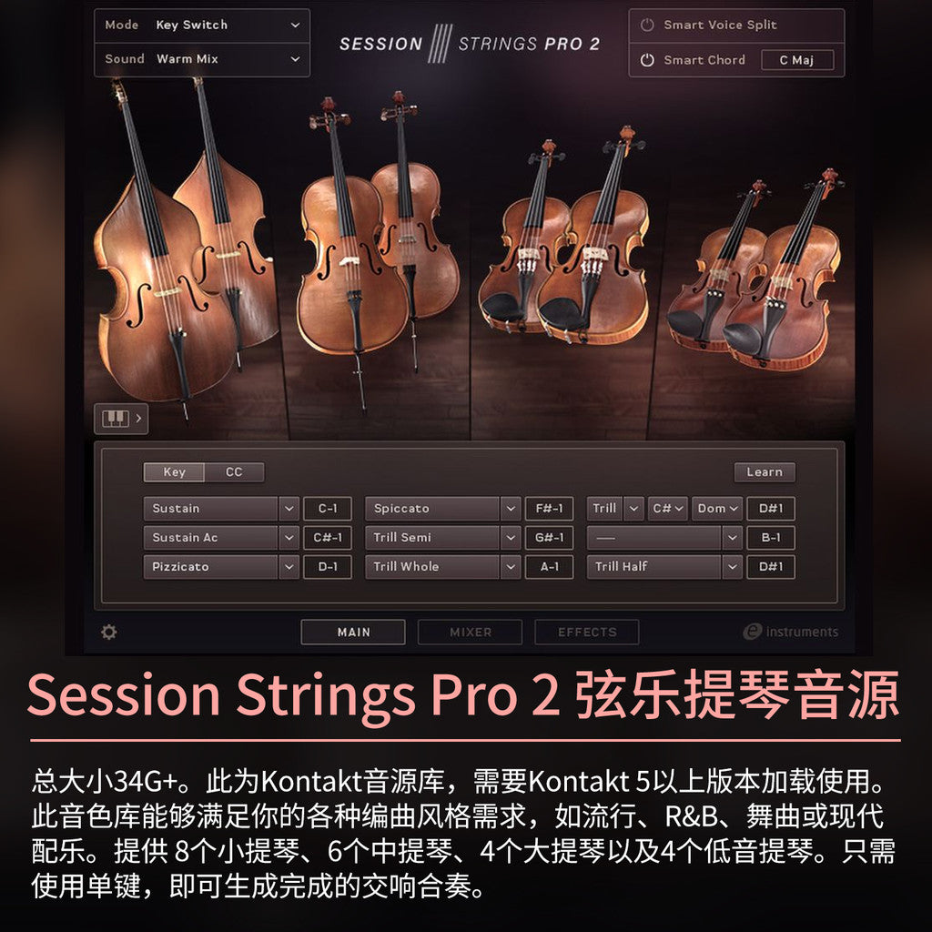 🎻 Instrument Library – Session Strings Pro 2 – Modern Pop & Cinematic String Sound Library ✨ [ MICHIGO STUDIO ]