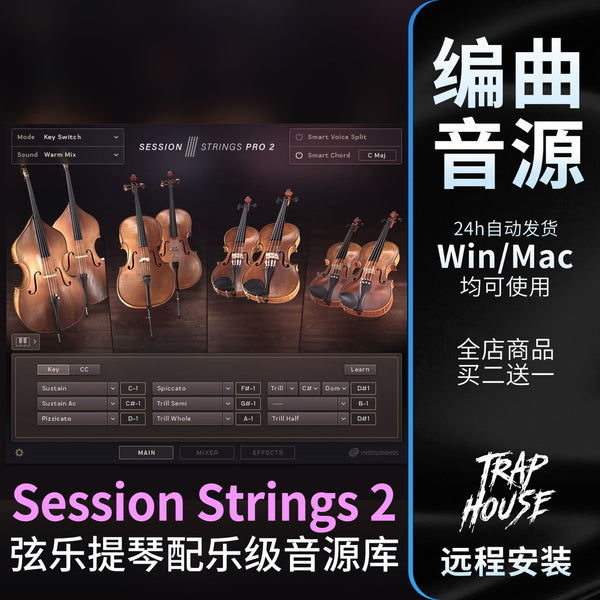🎻 Instrument Library – Session Strings Pro 2 – Modern Pop & Cinematic String Sound Library ✨ [ MICHIGO STUDIO ]