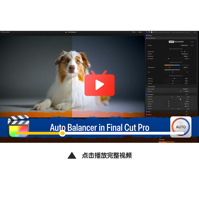 706 🎞️ FCPX – Auto Balancer M1 | Automatic White Balance, White Point, Color Temp & Tone Adjust ✨ [ MICHIGO STUDIO ]