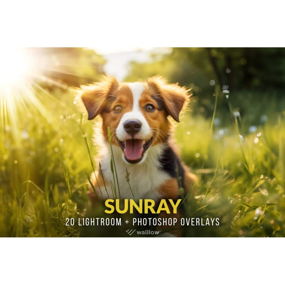 🌤️ Design Asset – Realistic Sunlight Beam & Overlay Effects – Transparent PNG/JPG Pack ✨ [ MICHIGO STUDIO ]