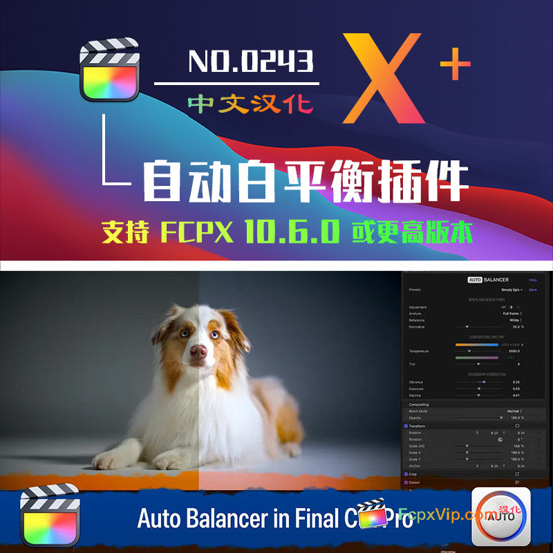 706 🎞️ FCPX – Auto Balancer M1 | Automatic White Balance, White Point, Color Temp & Tone Adjust ✨ [ MICHIGO STUDIO ]