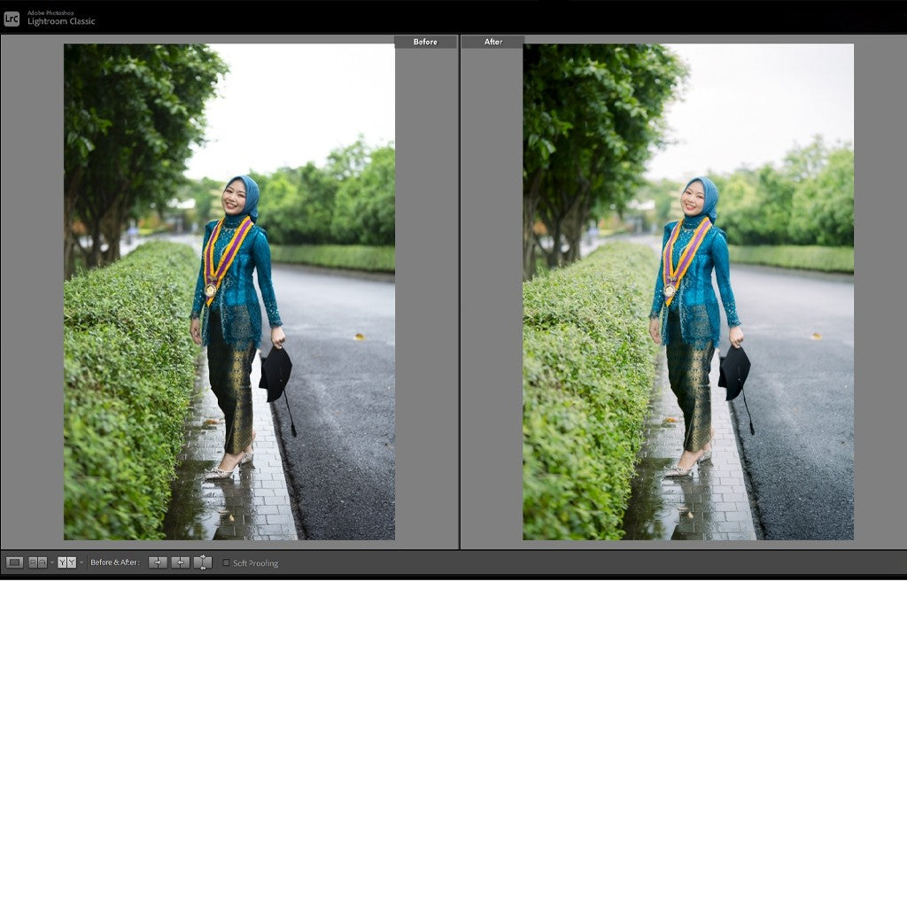 🎨 Preset Lr + Ps – Demasta Preset for Graduation, Wedding & Prewedding Photos ✨ [ MICHIGO STUDIO ]