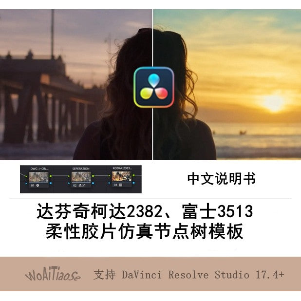 🎞️ PowerGrade – DaVinci Kodak 2383 / Fuji 3513 Flexible Film Emulation Node Template ✨ [ MICHIGO STUDIO ]