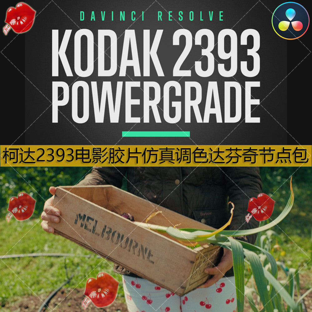 🎬 PowerGrade – DaVinci Kodak 2393 Film Emulation Curve Node – KODAK 2393 PowerGrade ✨ [ MICHIGO STUDIO ]