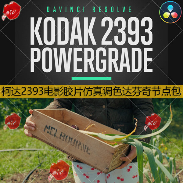 🎬 PowerGrade – DaVinci Kodak 2393 Film Emulation Curve Node – KODAK 2393 PowerGrade ✨ [ MICHIGO STUDIO ]