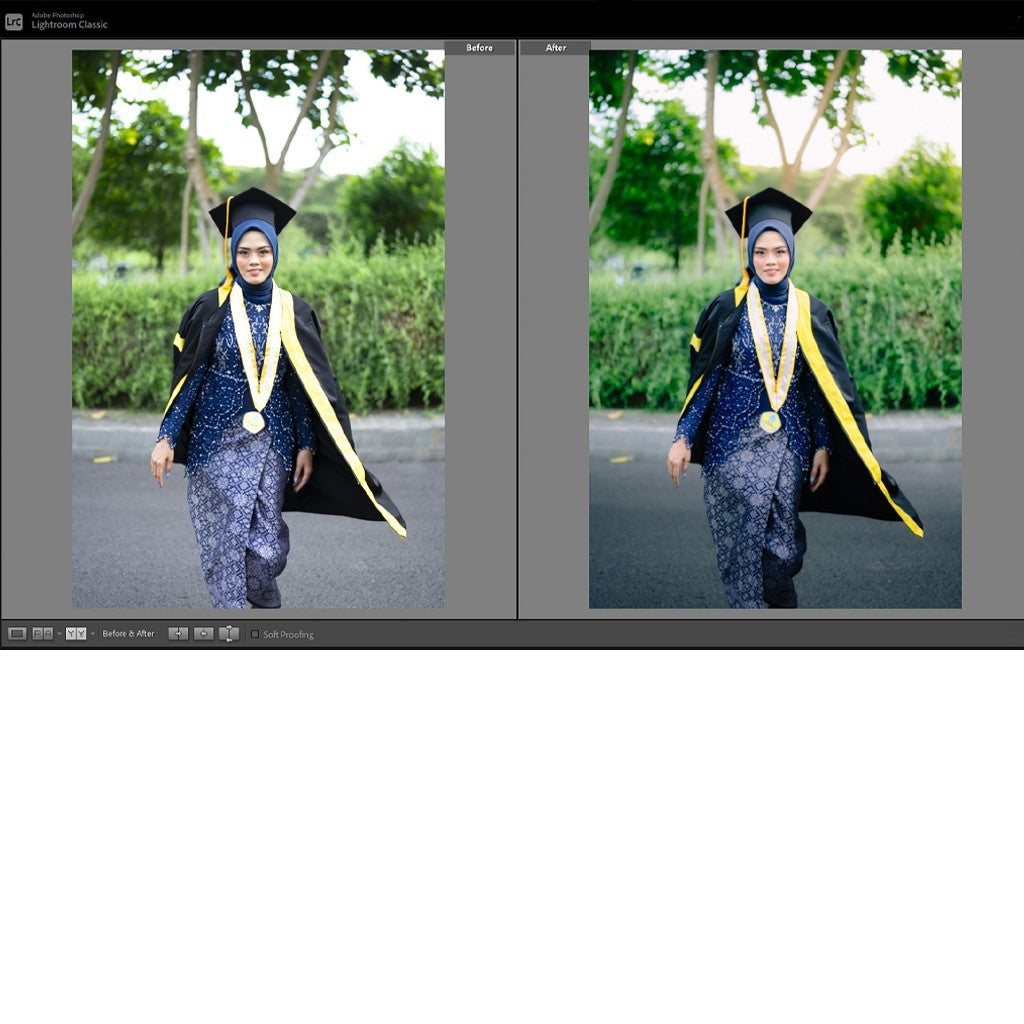 🎨 Preset Lr + Ps – Demasta Preset for Graduation, Wedding & Prewedding Photos ✨ [ MICHIGO STUDIO ]