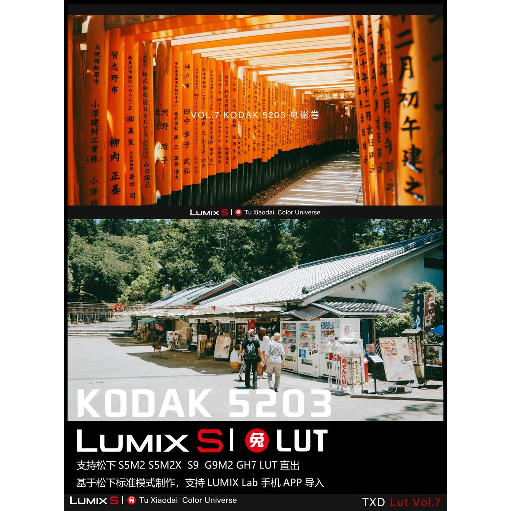 LUT | VOL.7 Kodak 5203 Film Look 🎞️ LUMIX LUT & LR • S5M2/X • S9 • G9M2 • GH7 【MICHIGO STUDIO】