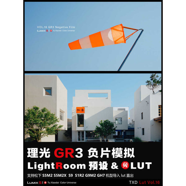 LUT | VOL16 Ricoh GR3 Negative Film Look 🎞️✨ PS / LR / DaVinci • S5M2/X • S9 【MICHIGO STUDIO】