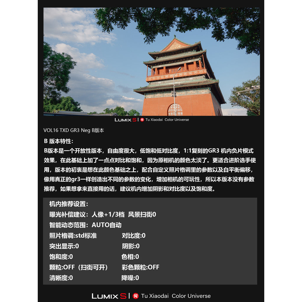LUT | VOL16 Ricoh GR3 Negative Film Look 🎞️✨ PS / LR / DaVinci • S5M2/X • S9 【MICHIGO STUDIO】