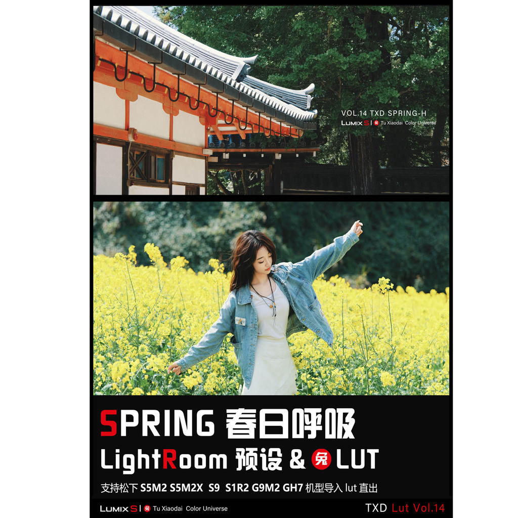Preset | VOL14 Spring Soft Japanese Portrait 🌸 PS / LR / DaVinci • S5M2/X • S9 【MICHIGO STUDIO】