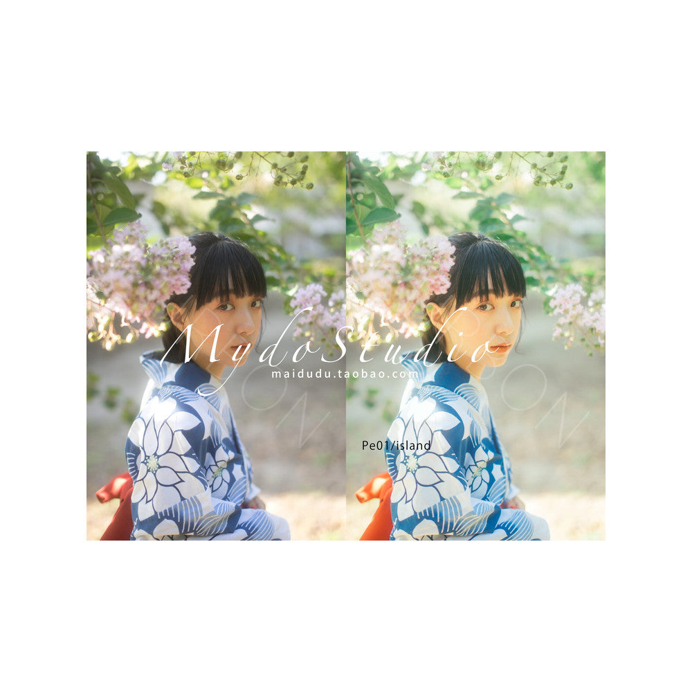 📸 PRESET LR | Takagi Shimpei Style Wedding & Portrait Preset • PS / PR / CapCut / FCPX Filters 【MICHIGO STUDIO】